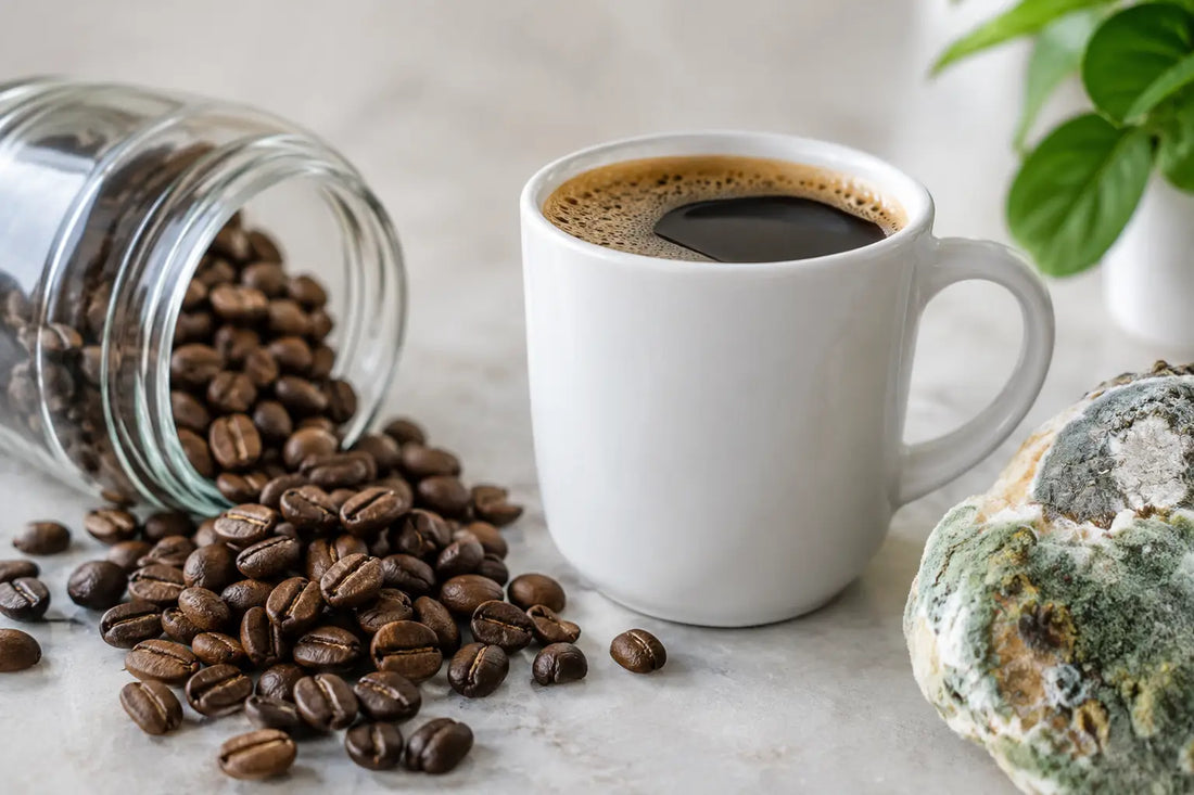 The Truth About Mold and Coffee Explained